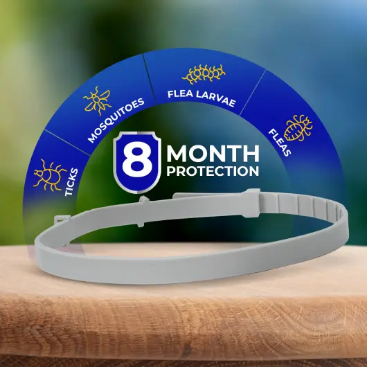 Barxbuddy BiteShield Collar 24 hours protection