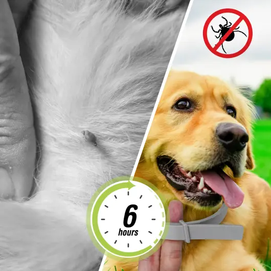 Barxbuddy BiteShield Collar benefits