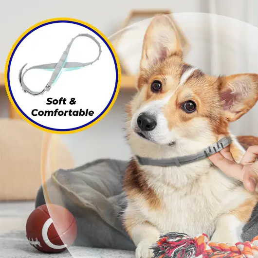 Barxbuddy BiteShield Collar comfortable usage